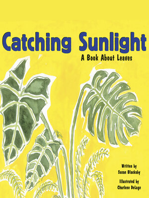 cover image of Catching Sunlight